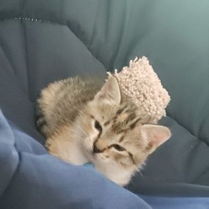 Meet your Posher, Alejandro